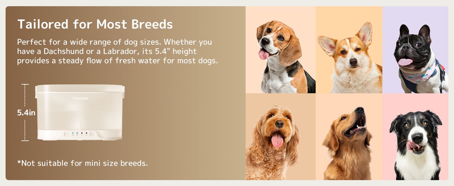 Tailored for most dog breeds — 5.4 inch drinking height